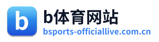 b体育网站